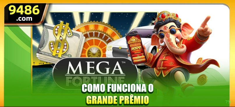 Programa VIP 79q